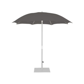 Palma Parasol Palma Parasol