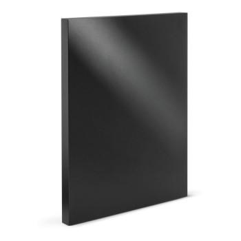 Napoleon Oasis Panel Final