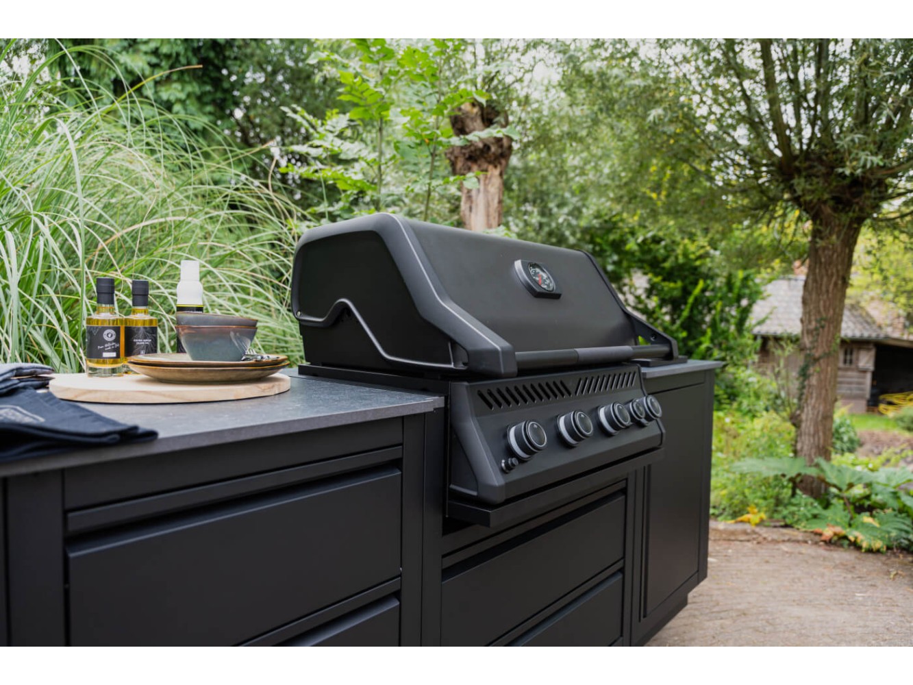 Barbecue à Gaz Napoleon Encastrable Série 300 Intégrée 32