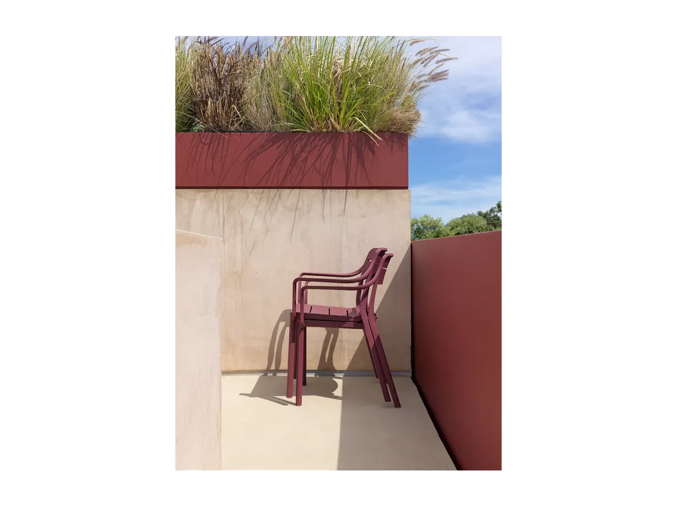 Cadeira com Braços Cassia - BORGOGNA Cadeira com Braços Cassia - BORGOGNA